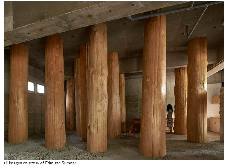 일본 우노의 평화로운 숲 같은 사무실 Large tree trunks arrow through tomoaki uno's peaceful forest-like office in japan