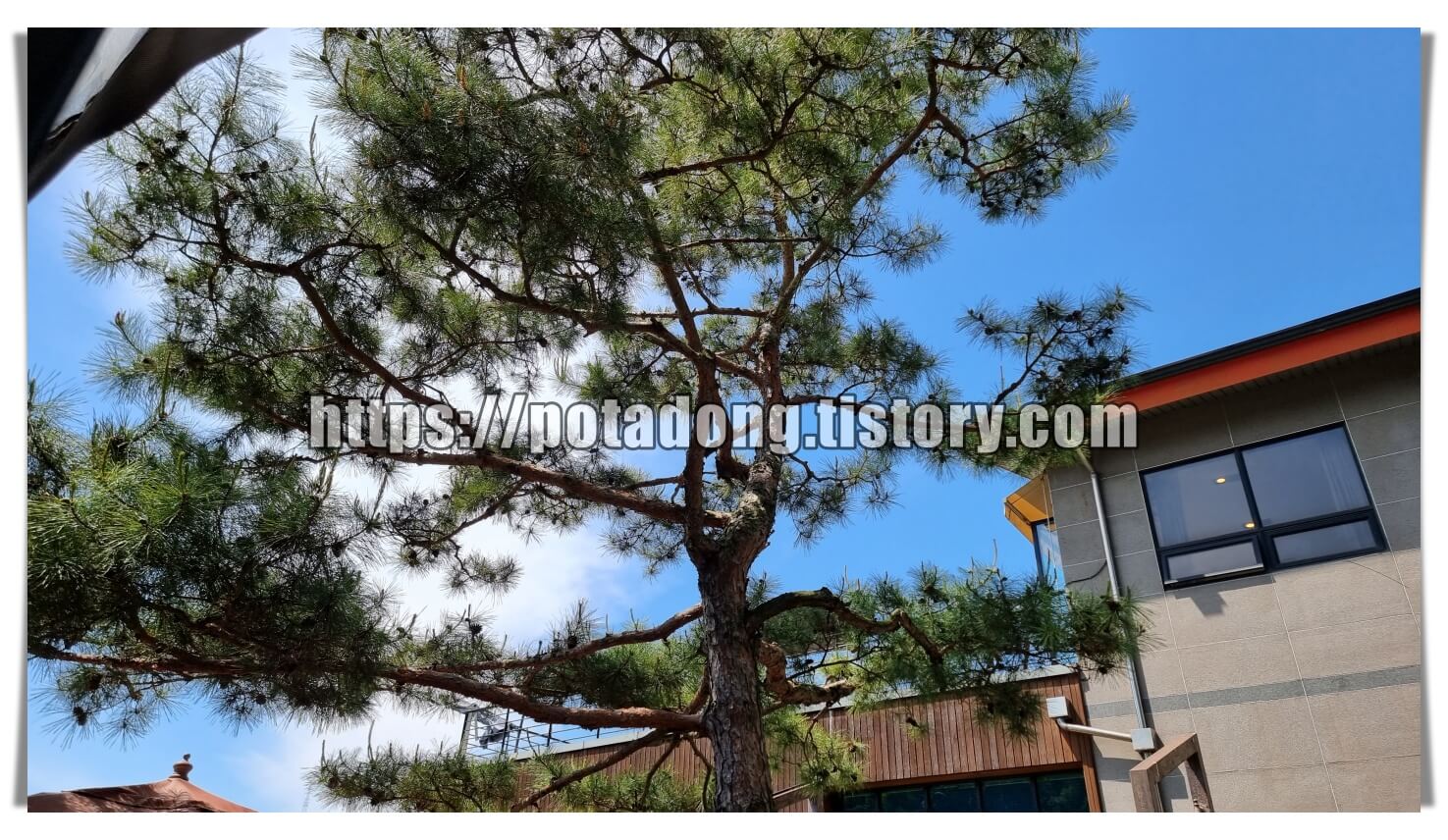 장모밥상 한정식 맛집