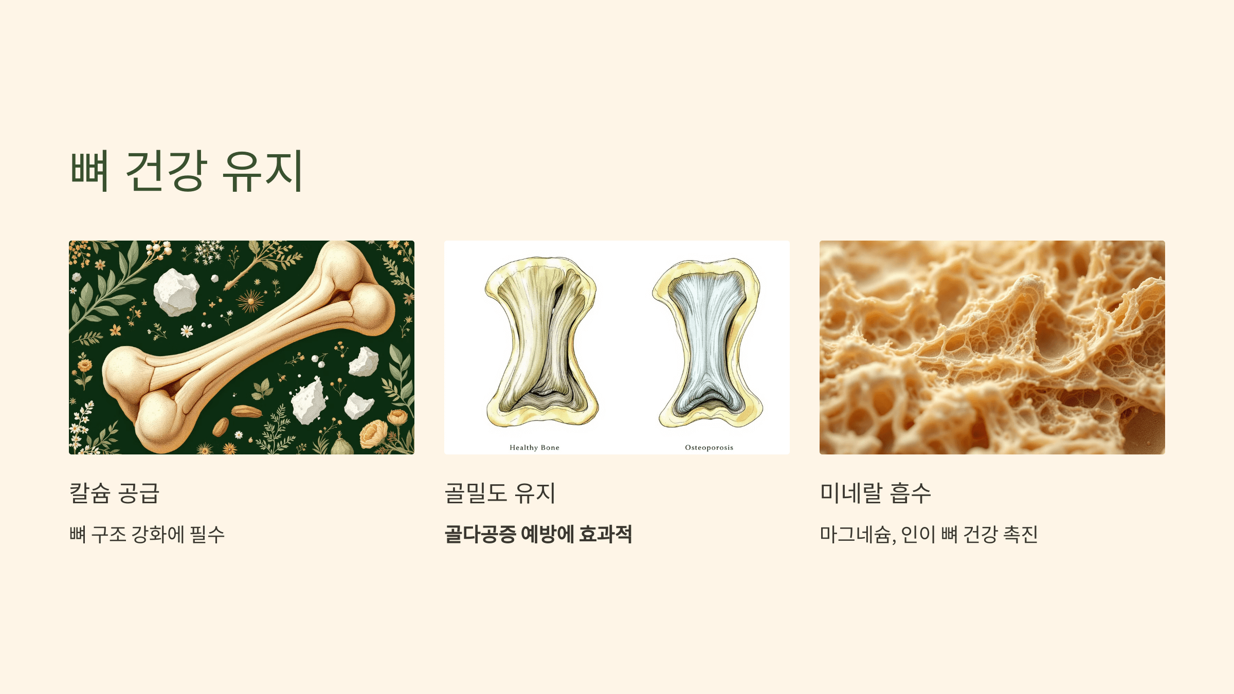 카무트 쌀 사진입니다.