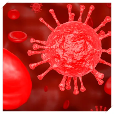 코로나 예방접종 무료대상 독감 동시접종 기간 날짜5