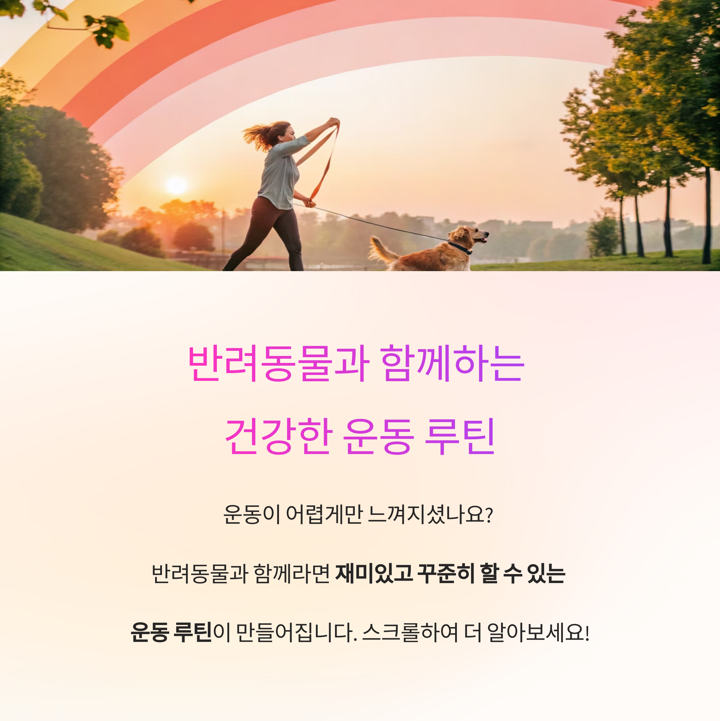 반려동물과 함께 즐기는 건강한 운동 루틴 만들기