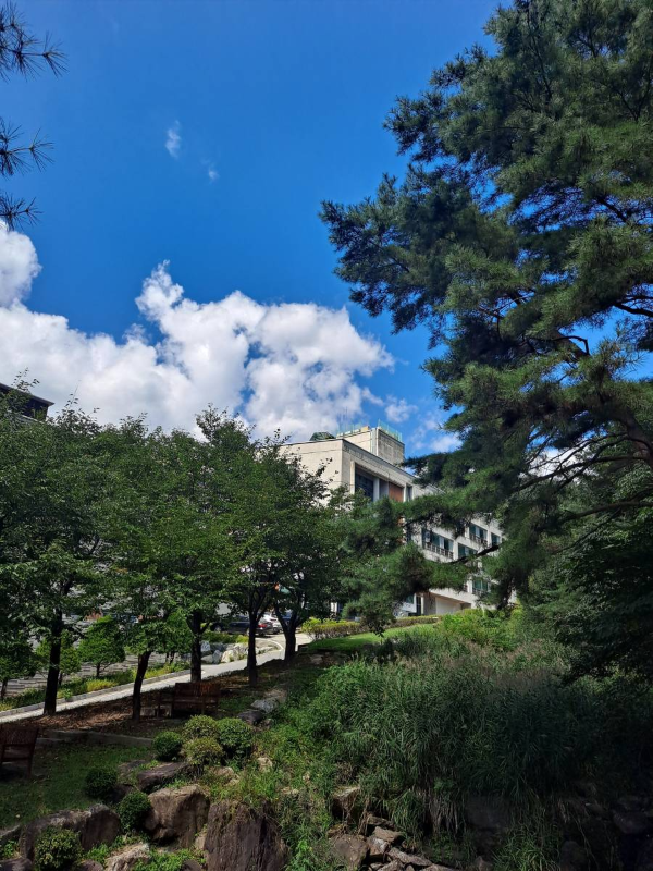 가평 필그림하우스 풍경