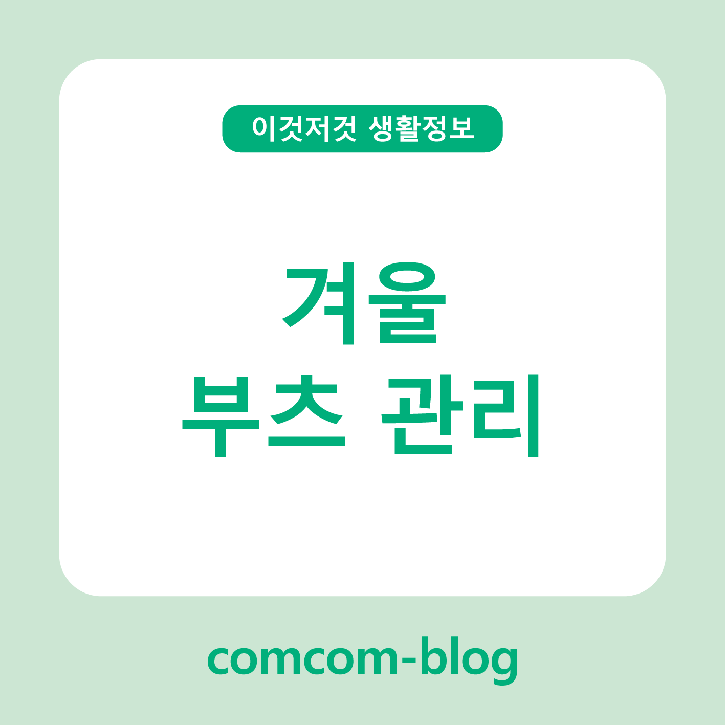 🧣 겨울철 부츠관리, 따뜻함을 오래 지키는 꿀팁 가이드