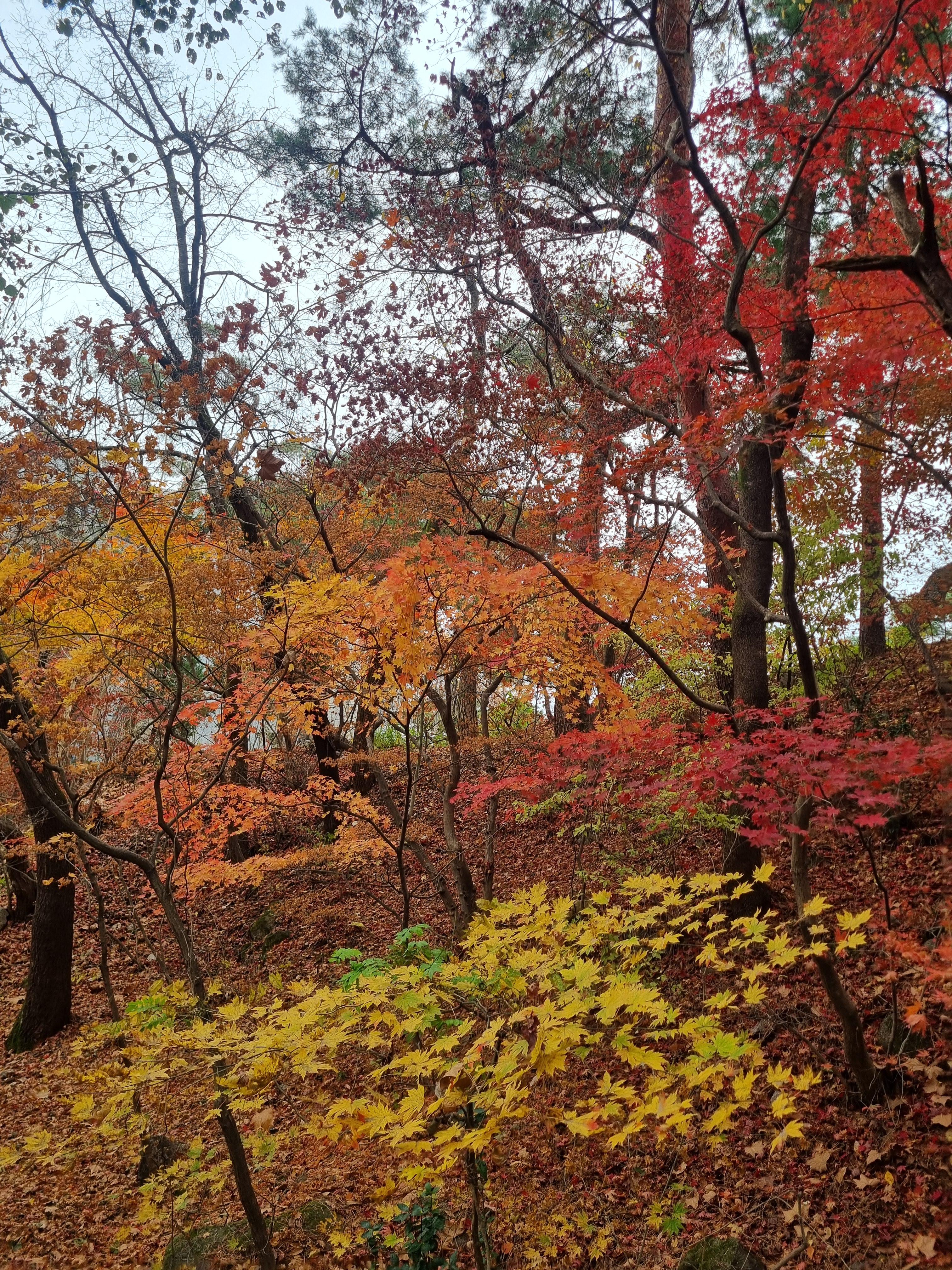 우이동 북한산 둘레길 단풍사진