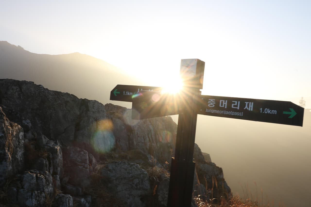 한국어 표현 변천사: 신조어, 유행어, 세대별 표현 변화 추적