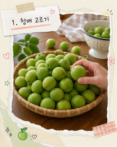 매실장아찌 담그는법