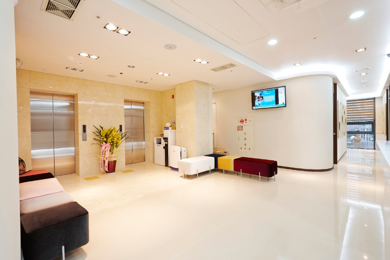 마포구 도화동 정형외과 전문의 유명하고 잘하는 곳 추천 TOP 5