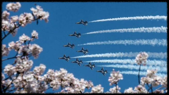 2025 벚꽃축제 진해군항제 날짜·퍼레이드·불꽃놀이 한눈에 보기