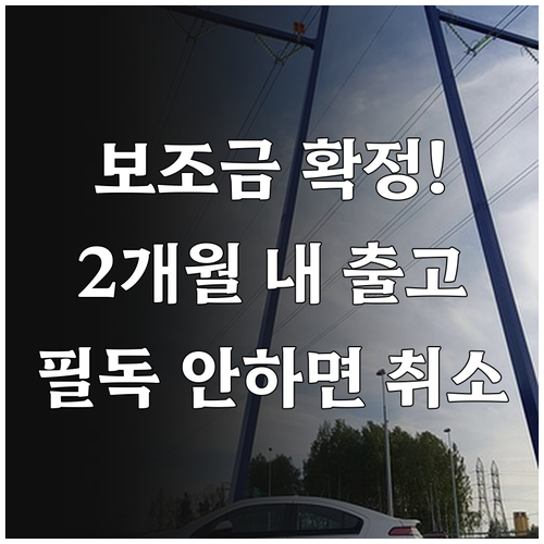 전기차 보조금 대상자 확정 후 2개월..