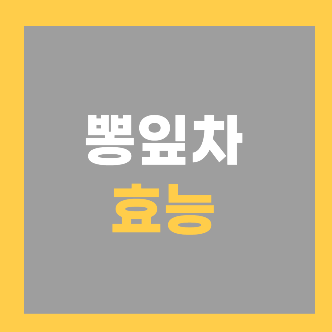 뽕잎차 효능