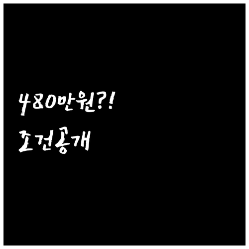 2026 성주군 청년월세지원 최대 4..