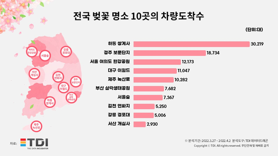 2026 전국 벚꽃 명소 TOP10 (벚꽃 개화시기까지 정리)