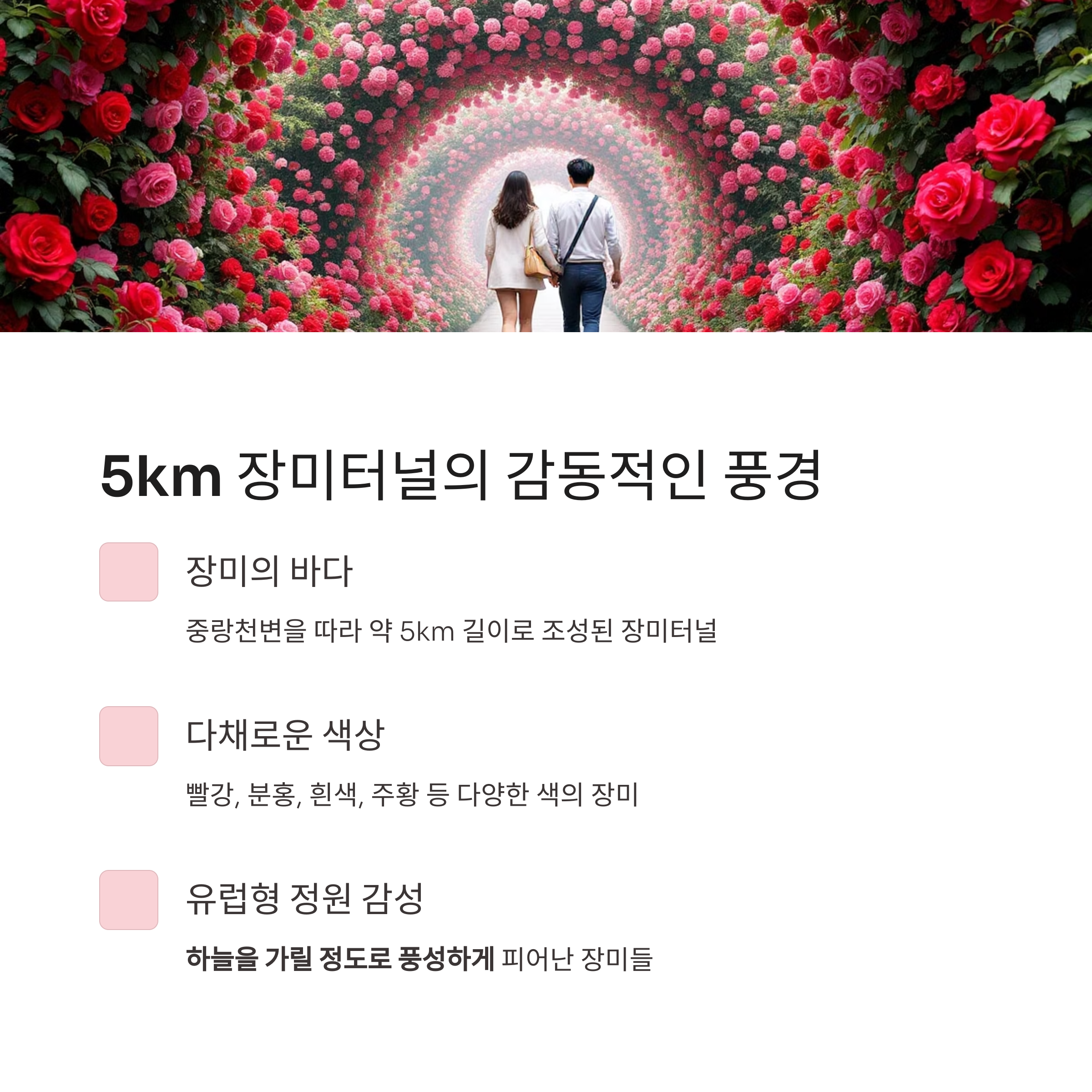 2025 서울장미축제, 중랑천을 붉게 물들인 9일간의 꽃 대향연