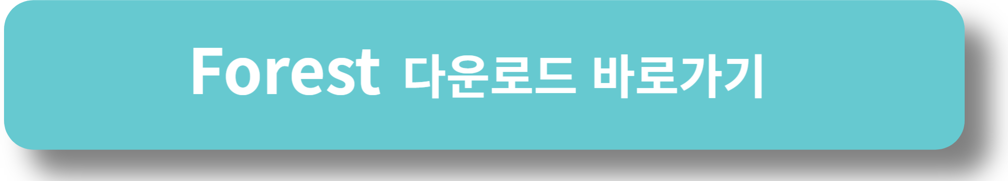 Forest 다운로드 바로가기