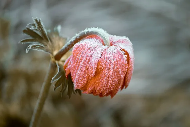 서리태 효능 먹는법 영양성분_9