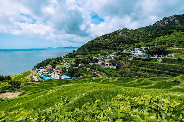 산비탈에 펼쳐진 계단식 논