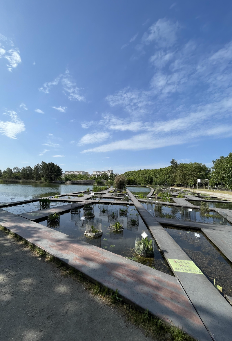 보르도 식물원 사인4 - 수생정원