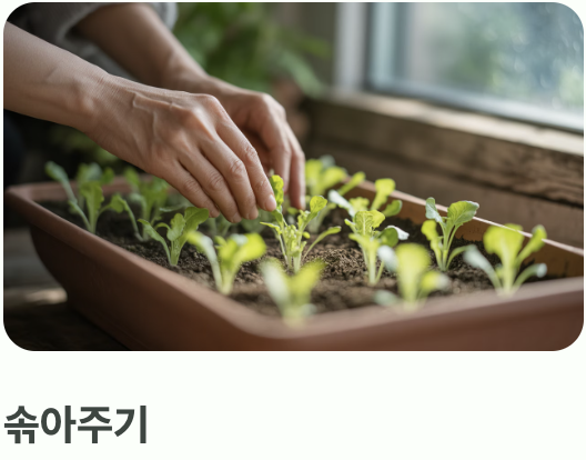 초보자도 OK! 파종과 솎아주기