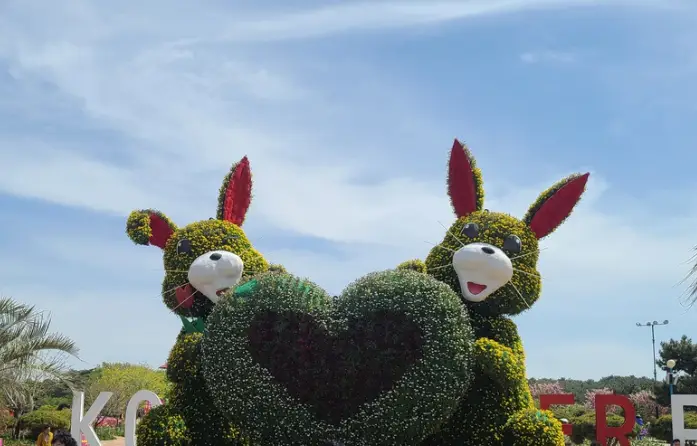 태안 튤립축제 주차장 정보, 이용 꿀팁, 주차장 동선