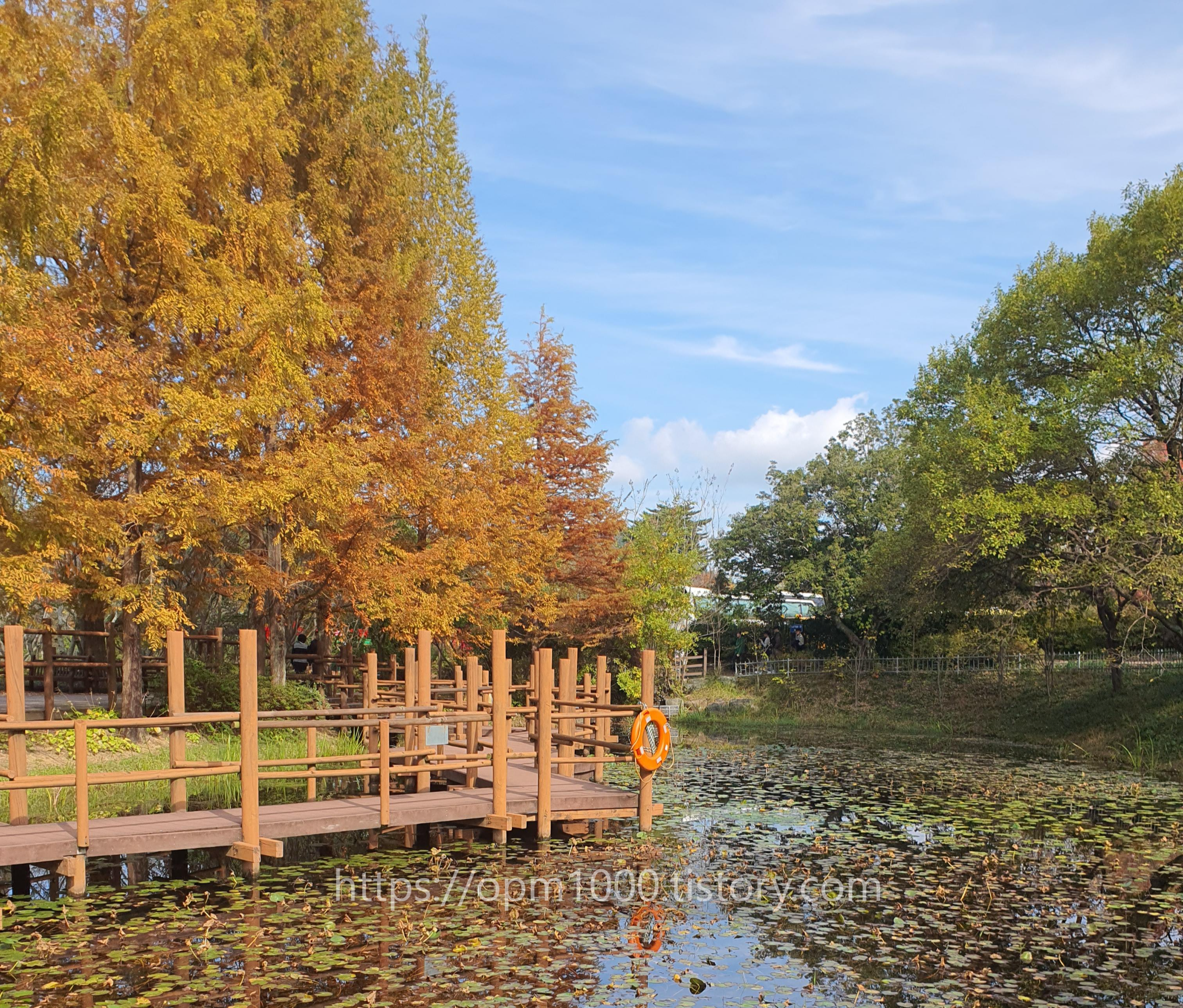 경상남도 수목원 연못과 단풍사진