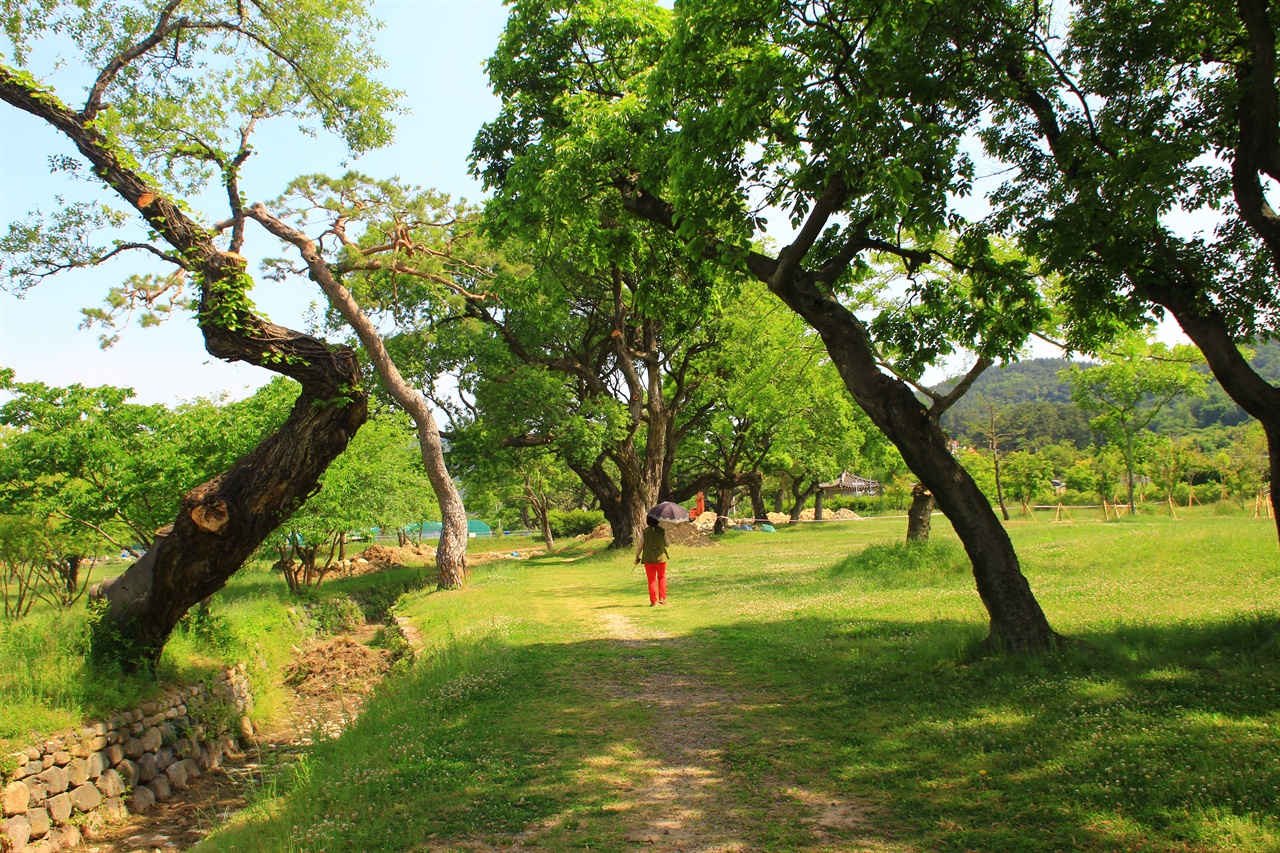 2024 경주 가볼만한곳 하루코스 시내 놀거리 유적지 왕릉 먹거리