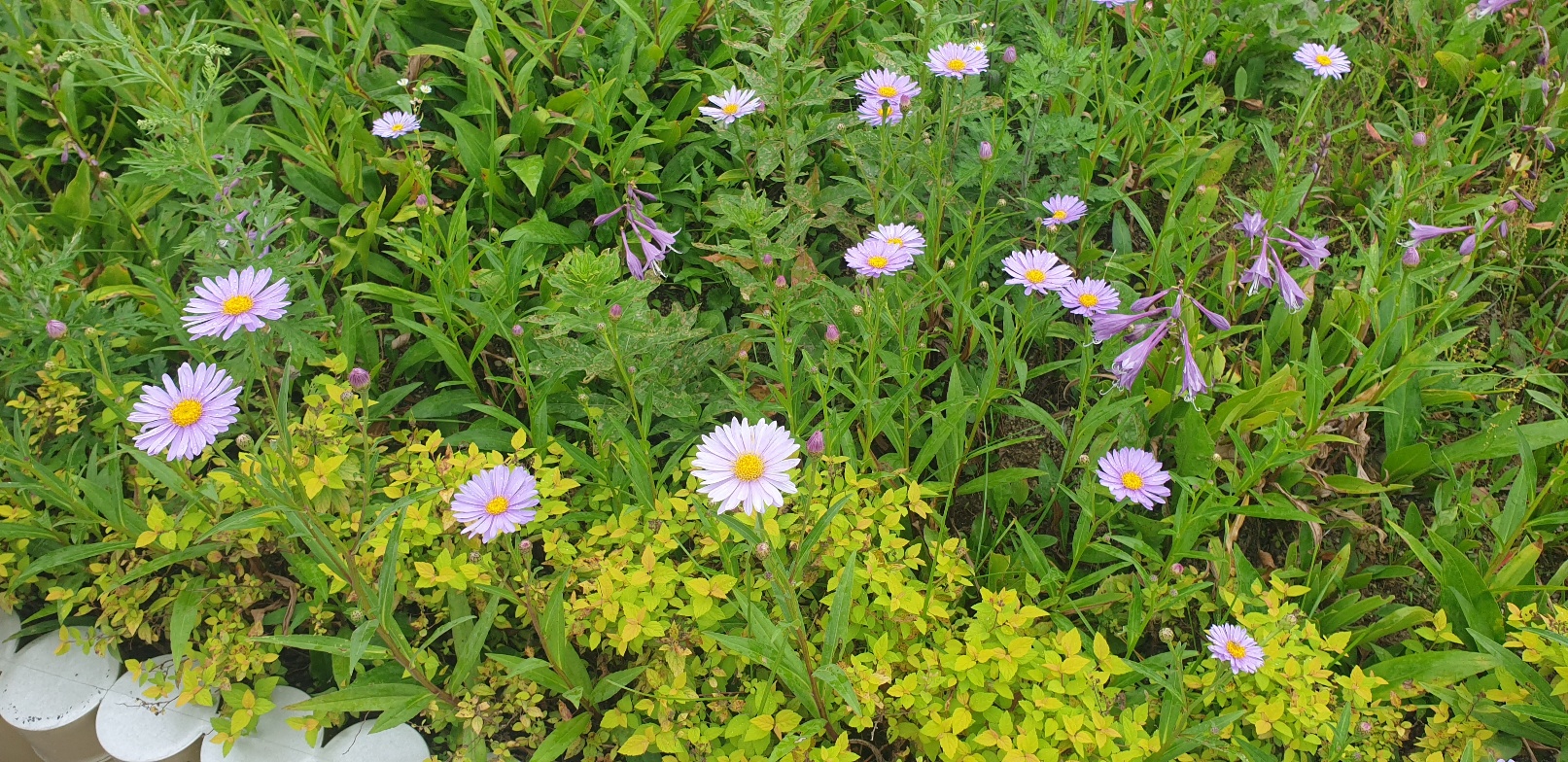 2026 수능 일정표