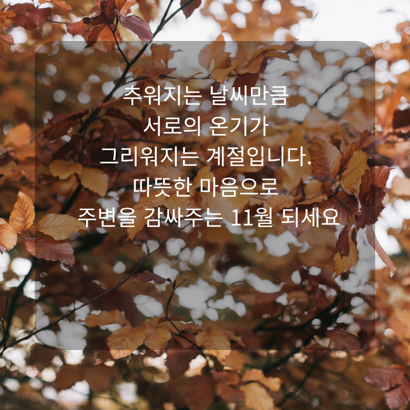 11월 인사말 문구 이미지 가을 겨울 인사글 모음집