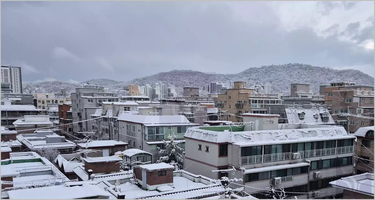 눈 온 아침풍경