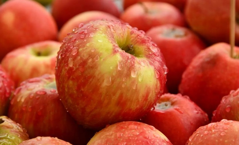 식이섬유가 많은 음식