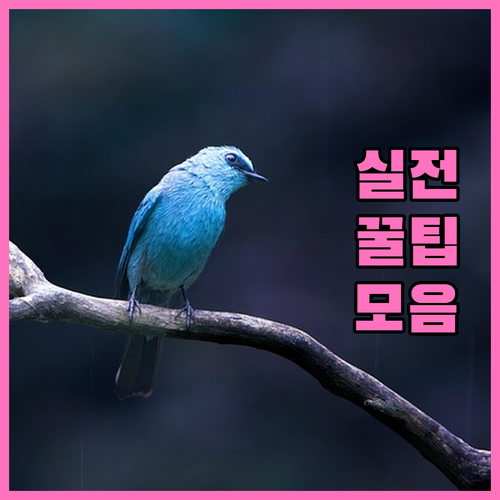 과태료 없이 해운대 대형 폐기물 올바..