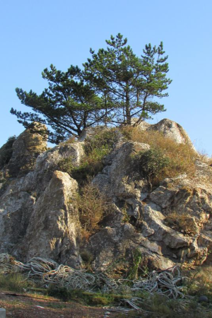 충청도 가볼만한곳 베스트 10 대전 태안 단양 공주