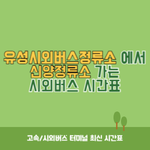 유성시외버스정류소에서 신양정류소 가는 시외버스 시간표 최신정보