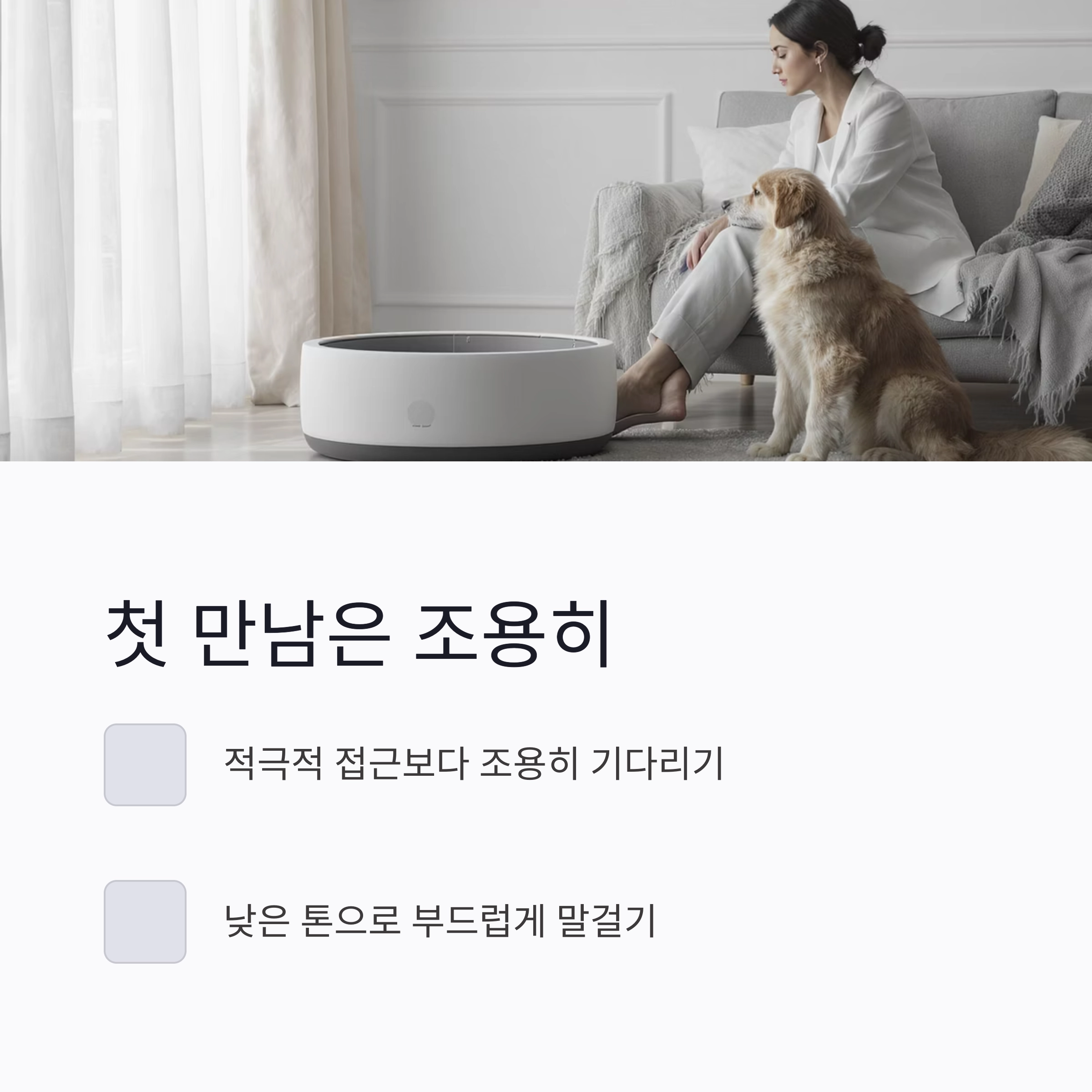 입양 후 첫 일주일, 반려동물과 친해지는 마법의 시간