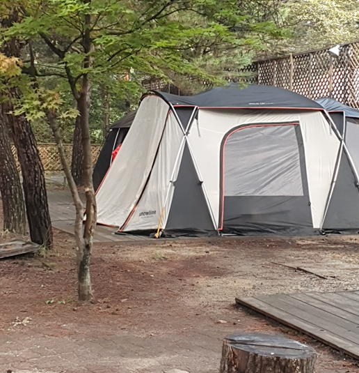 반달곰이살던숲