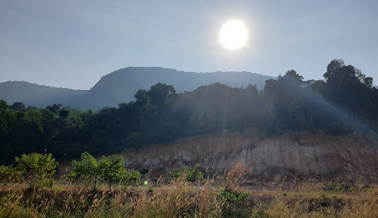 푸꾸옥 후추농장