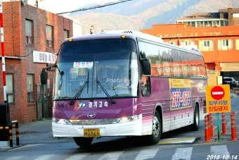 태백 고한 도계 시외버스 터미널 시간표 예매 요금_24