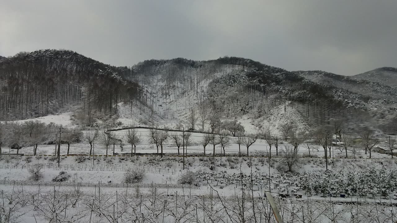 한지와 콘셉트 디자인: 전통과 현대의 융합