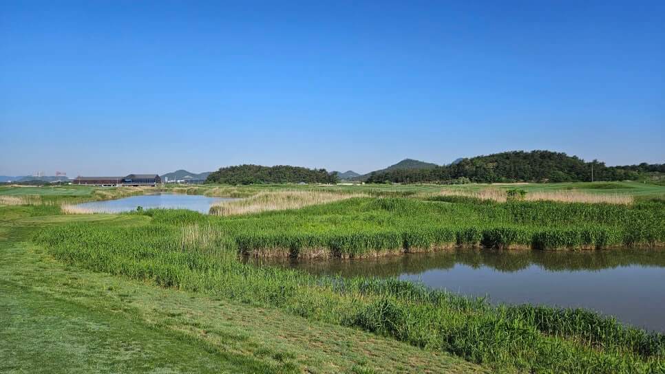 골프장 경험담 영암 골프존 카운티 영암45cc 스코틀랜드 링스의 감성을 담은 골프장의 매력