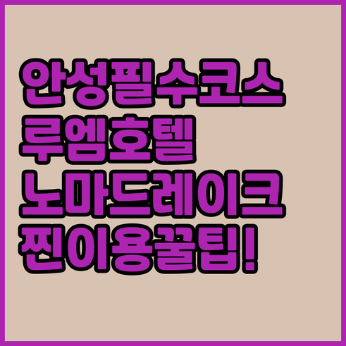 안성 가볼만한곳 근처 깔끔한 호텔 루..