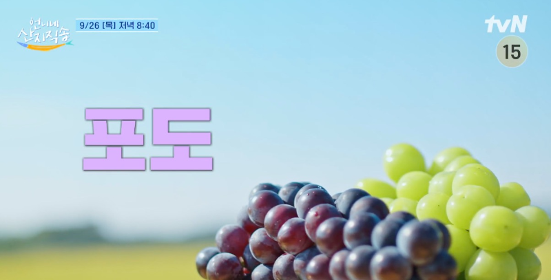 tvN 예능 언니네 산지직송 11화 염정아 스타일링 모자 제품 정보. 베이지색 모자에 청록색 띠가 포인트인 라피아 햇.