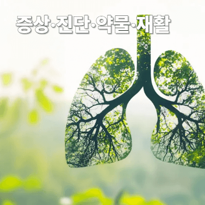 COPD(만성폐쇄성폐질환) 검사&middot;치료 총정리 (2025)｜증상&middot;진단&middot;약물&middot;재활