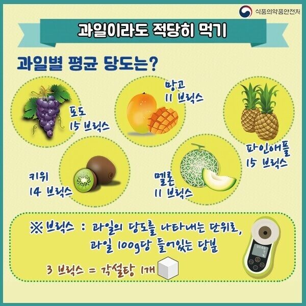 과일 당도 브릭스 설명