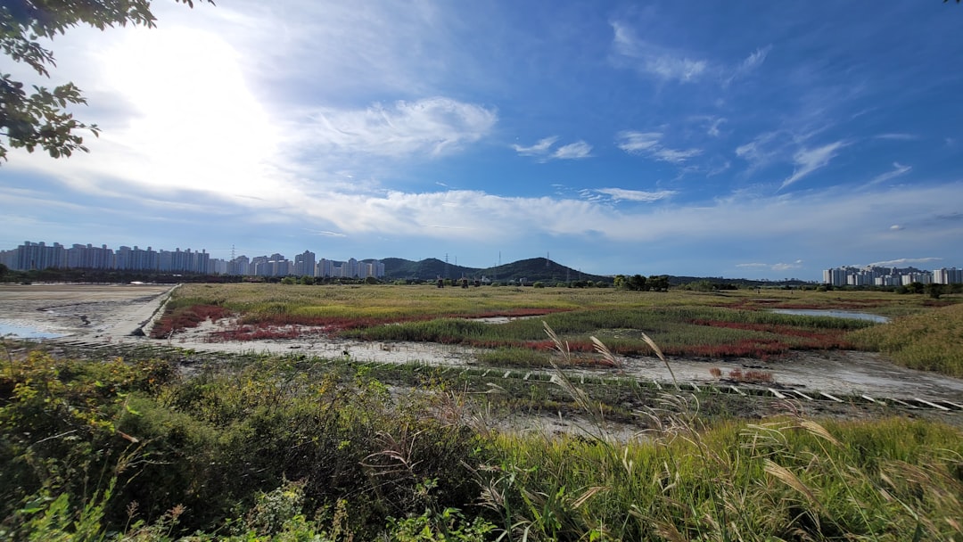 Incheon.