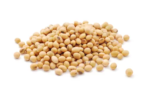 유방암에 좋은 음식 피해야 할 나쁜 음식