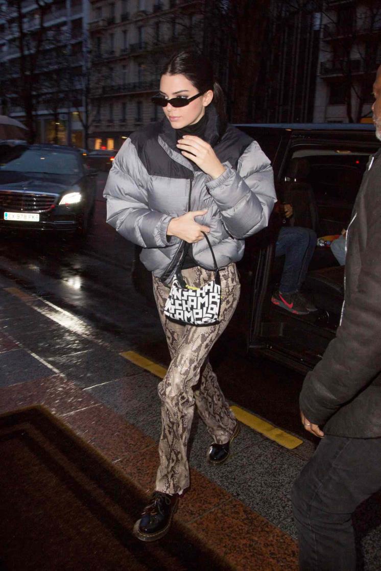 Kendal Jenner the north face nuptse