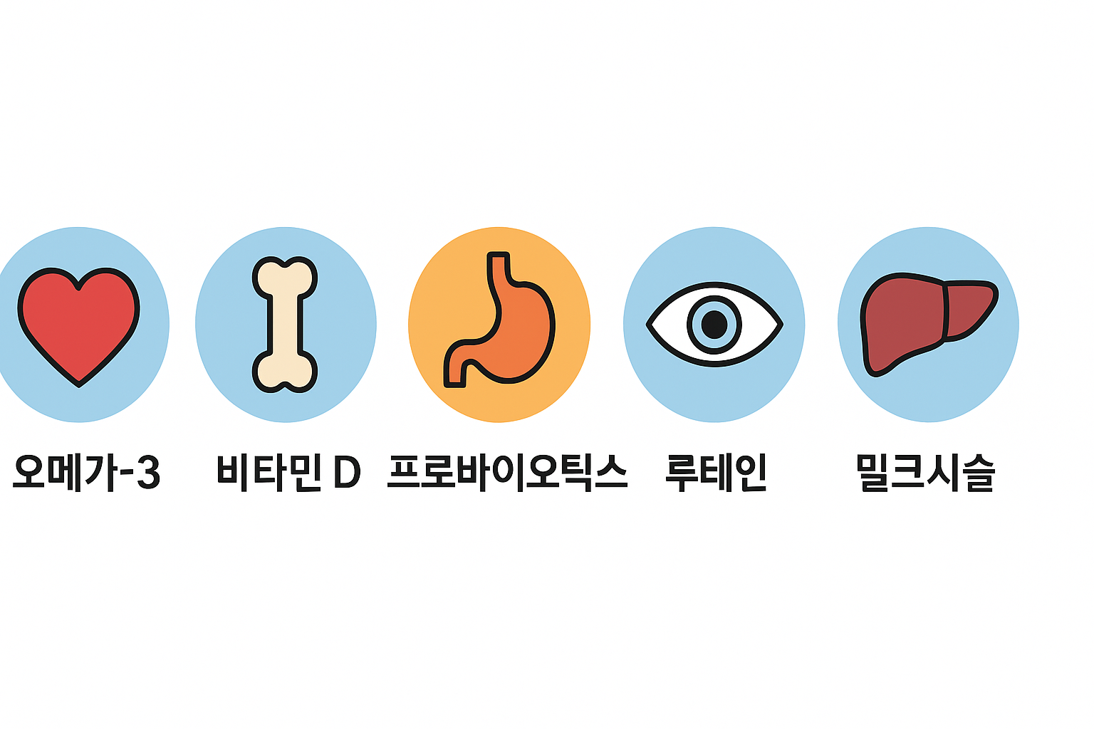 건강 보조 식품의 주요 효과는?