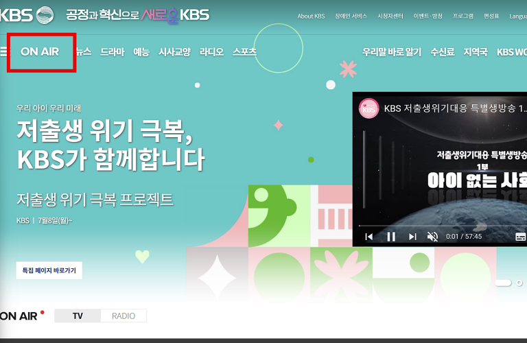 실시간 TV보기