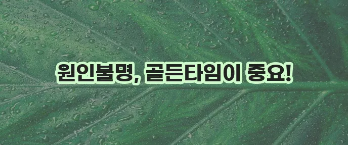 돌발성 난청 원인과 치료기간 핵심 정리했습니다!