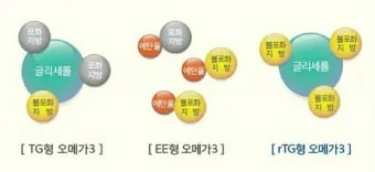 오메가3 선물 rTG 트리글리세라이드 IFOS 인증 혈관건강 중심 체크포인트_2