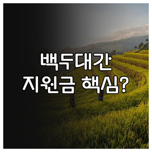 산림청 백두대간 보호 2025 지원금..